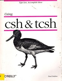 Image of Using csh and tcsh