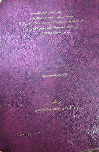Image of vicia fabaفي التعقد ونثبيت النتروجين الجوي في نبات الباقلاء  Rhizobiom teguminosamm  دراسة تاثير المجال المعناطيسي الثابت وبعض  المبيدات الفطرية في كفاءة بكتريا
